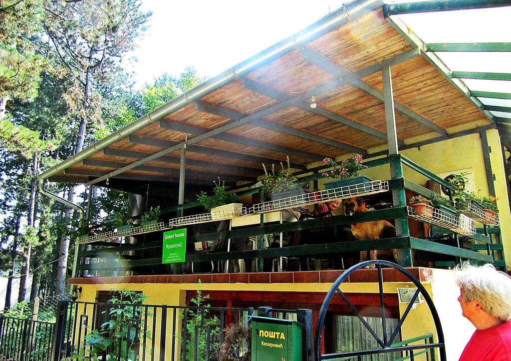 Guest House Keserovic Vinci Екстериор снимка