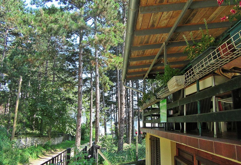 Guest House Keserovic Vinci Екстериор снимка