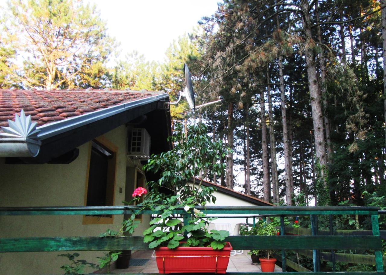 Guest House Keserovic Vinci Екстериор снимка